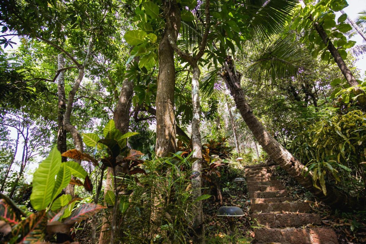 Casa Susegad Ξενοδοχείο Madgaon Εξωτερικό φωτογραφία