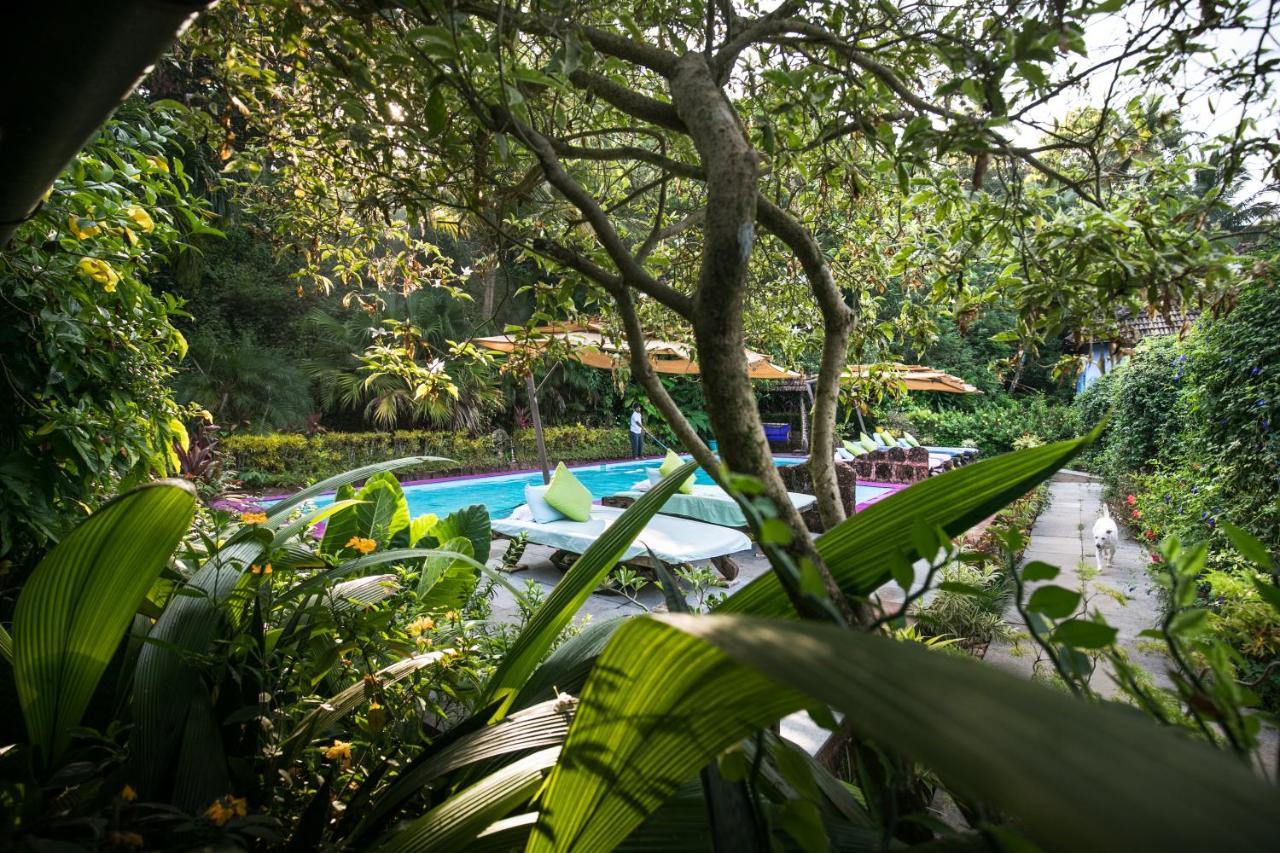 Casa Susegad Ξενοδοχείο Madgaon Εξωτερικό φωτογραφία